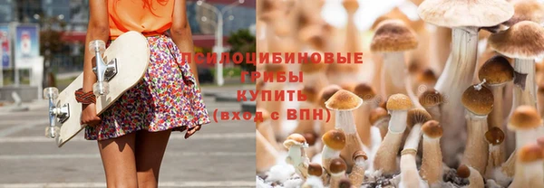 хмурый Абаза