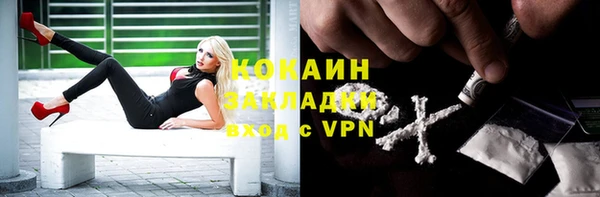 винт Дмитров